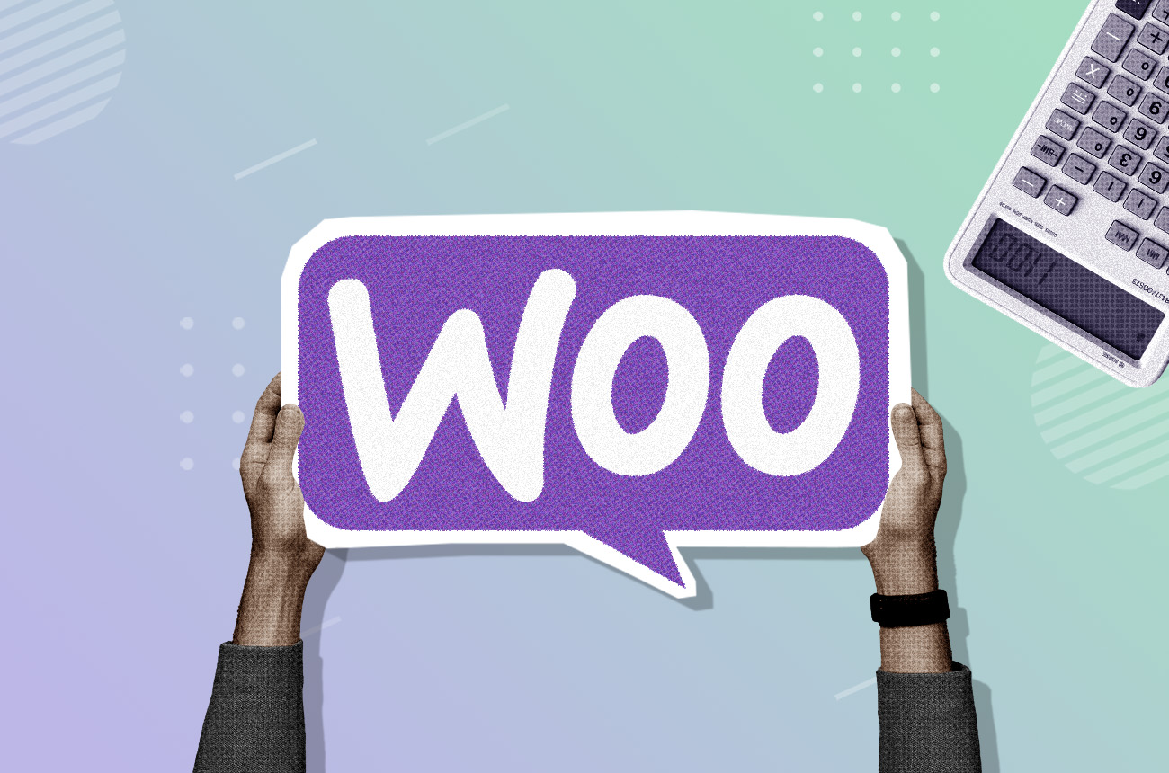 Decoding All Hidden WooCommerce Fees: Hosting, Marketing, Global Expansion